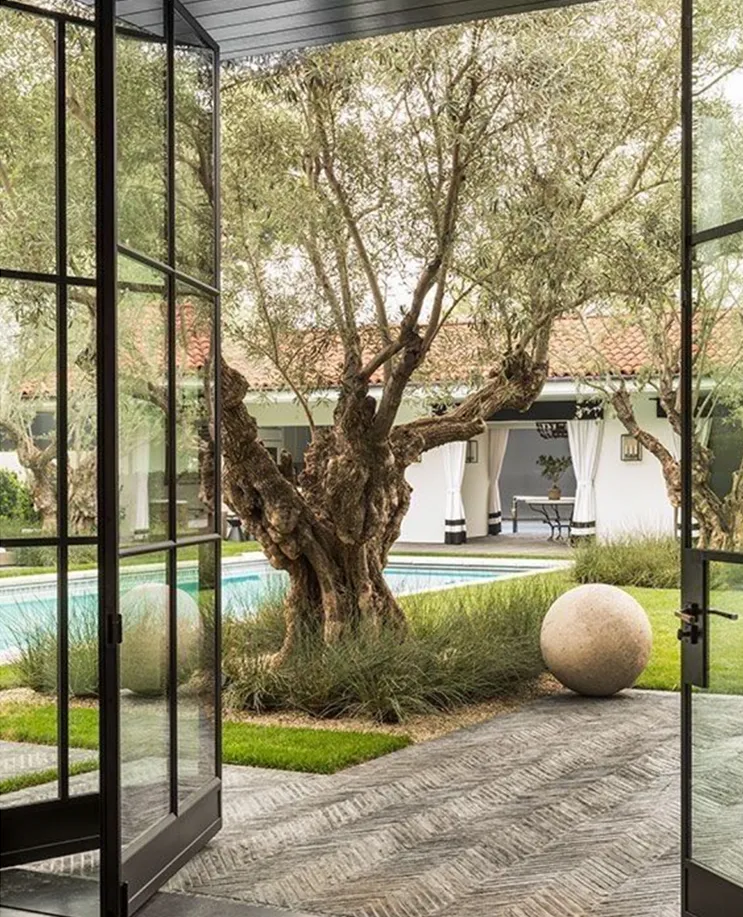 Luxury villa Luxury Backyard