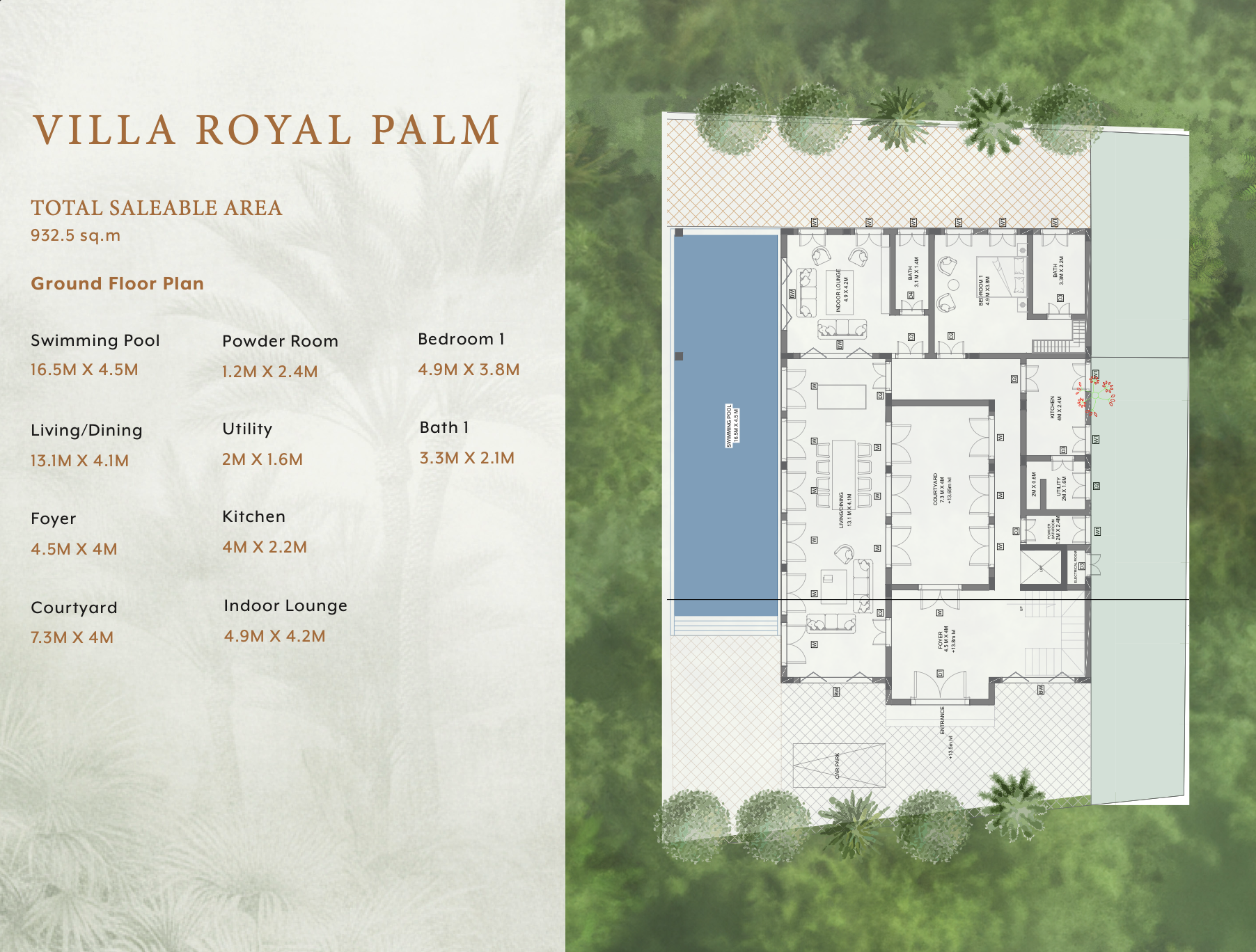 Luxury villa royal palm